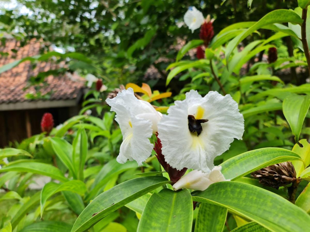 Villa Kayu Jogjacarta Exterior foto
